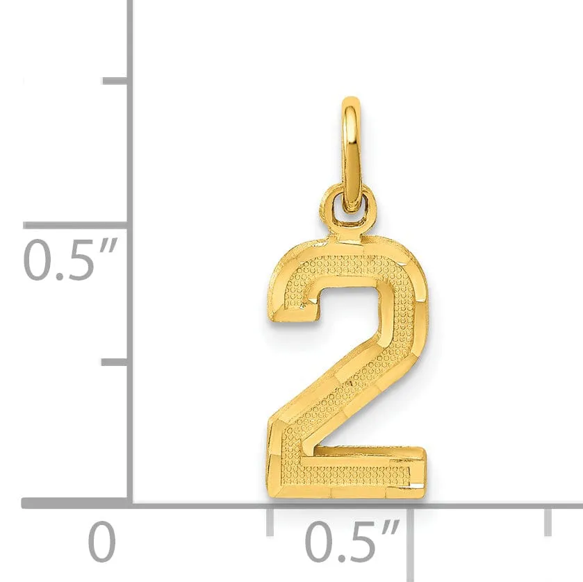 14k Yellow Gold Polished Diamond Cut Finish Small Size Number 2 Charm Pendant