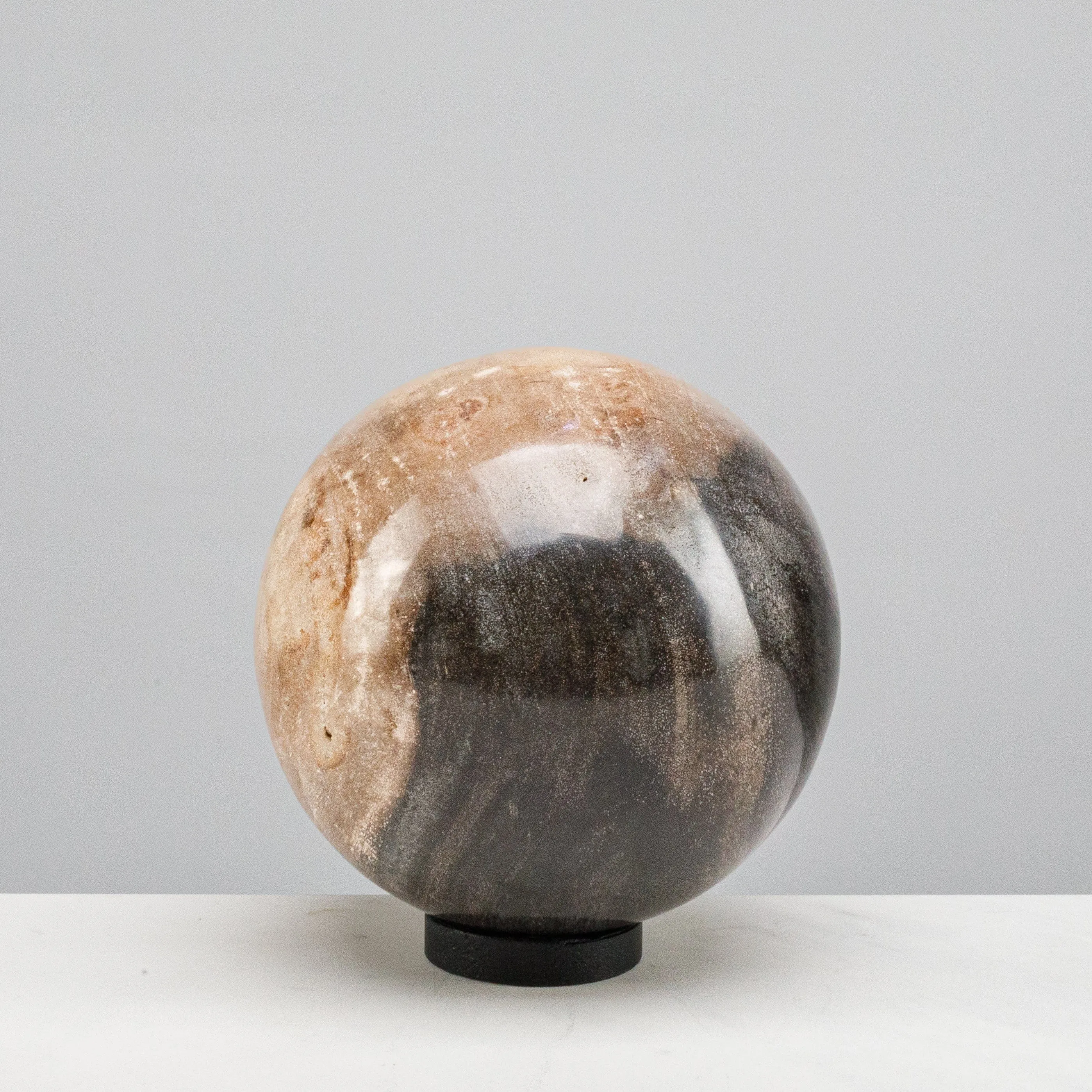 5 Brown Petrified Wood Sphere