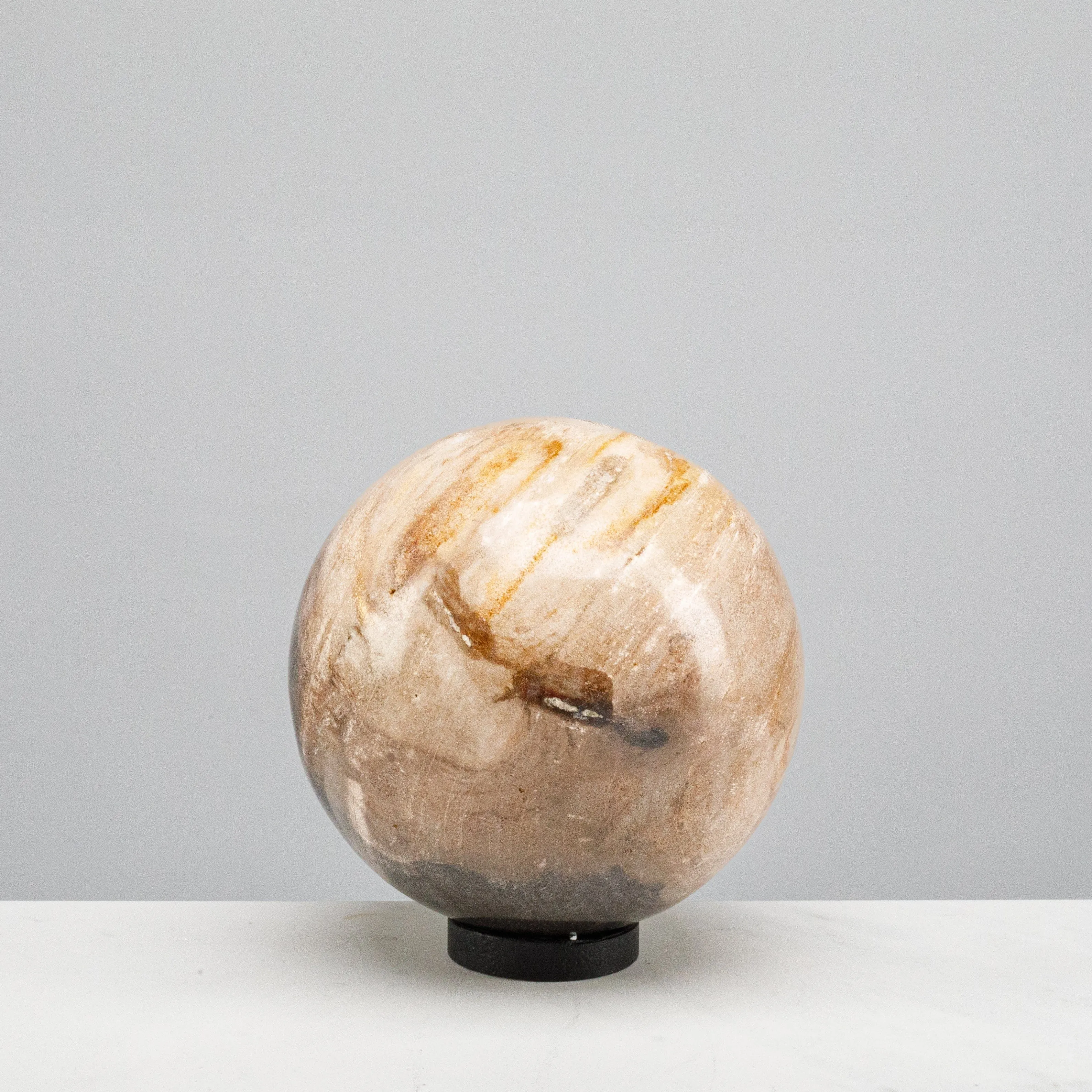 5 Brown Petrified Wood Sphere
