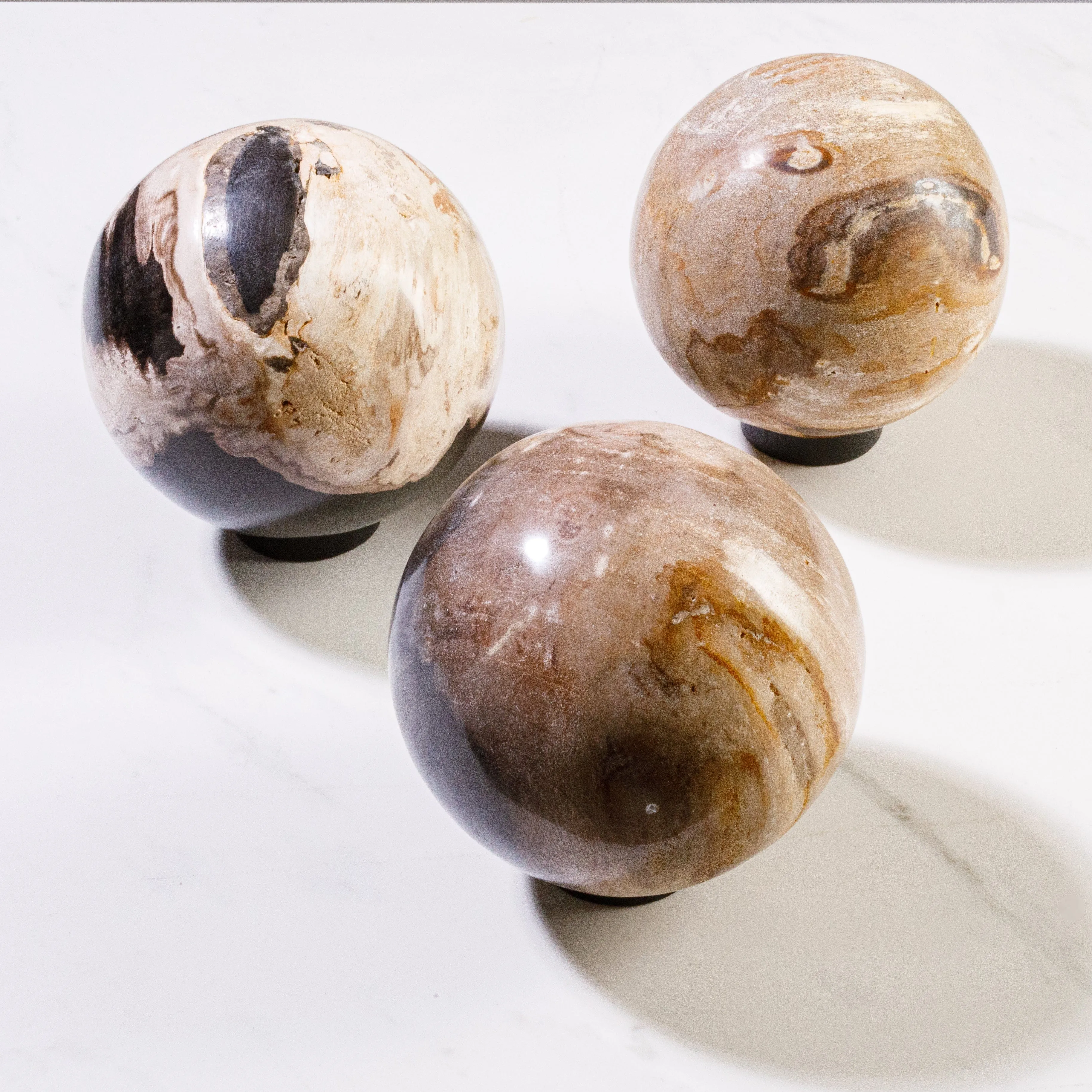 5 Brown Petrified Wood Sphere