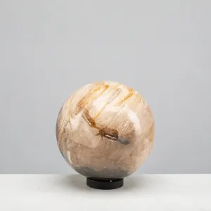 5" Brown Petrified Wood Sphere