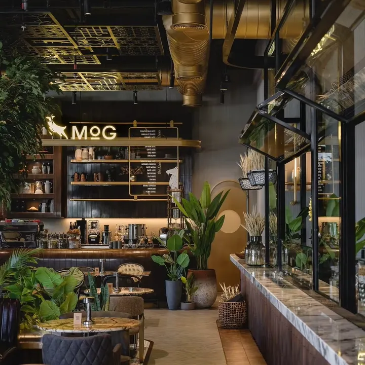 Art Decor Solutions for Boutique-ديكور فنية حديثة