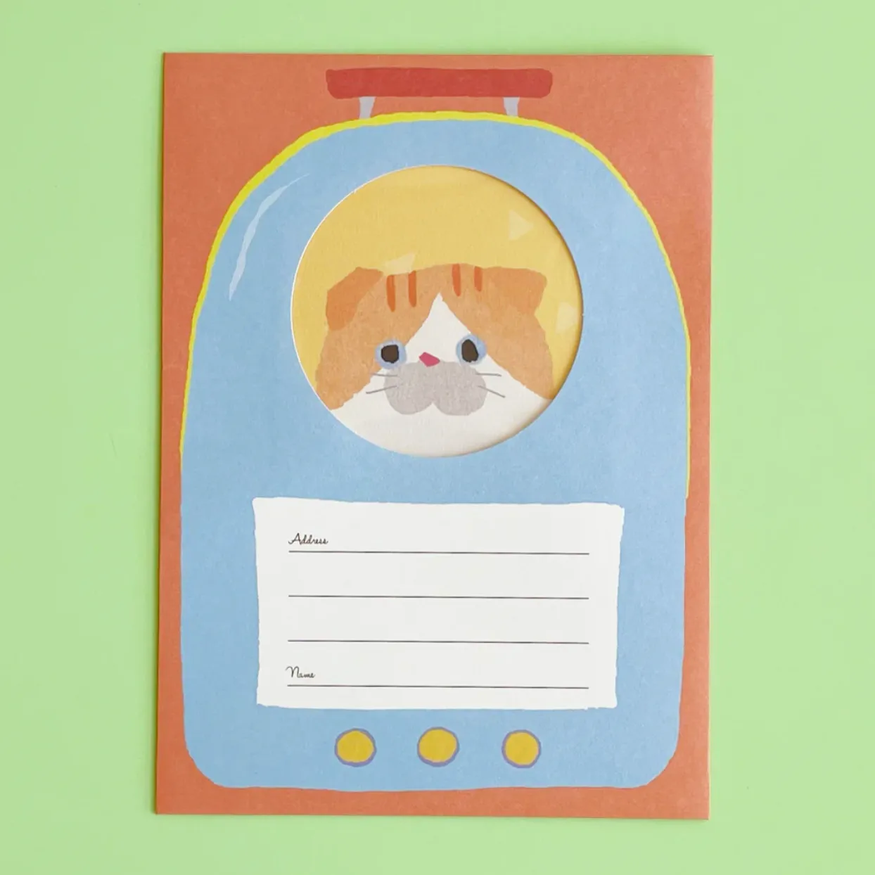 Cat in a Rucksack Gift Bundle, Ages 6 