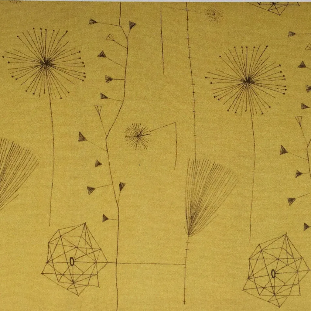 Dandelion clocks by Lucienne  Day