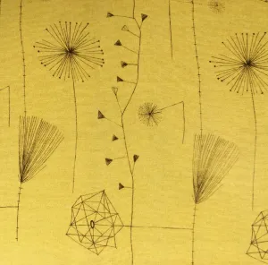 Dandelion clocks by Lucienne  Day
