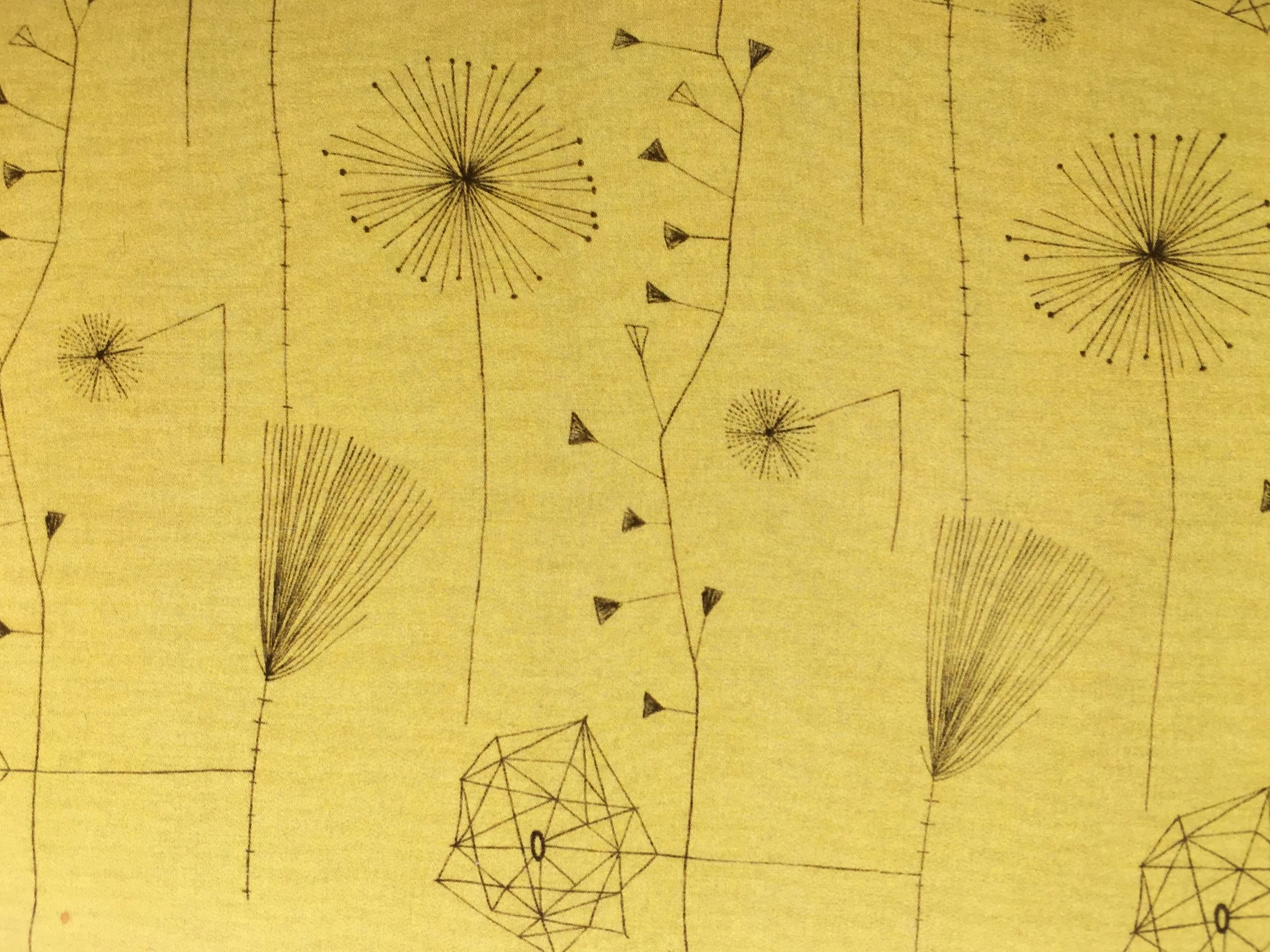 Dandelion clocks by Lucienne  Day
