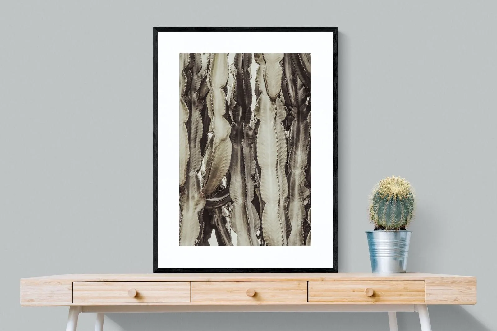 Desert Foliage