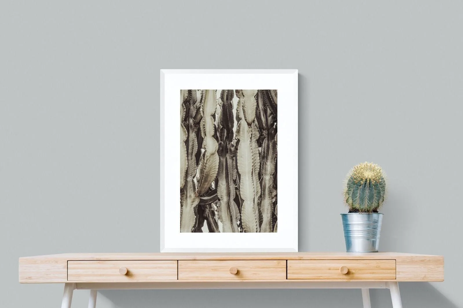 Desert Foliage
