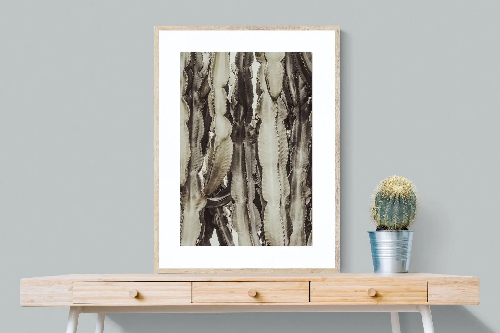 Desert Foliage