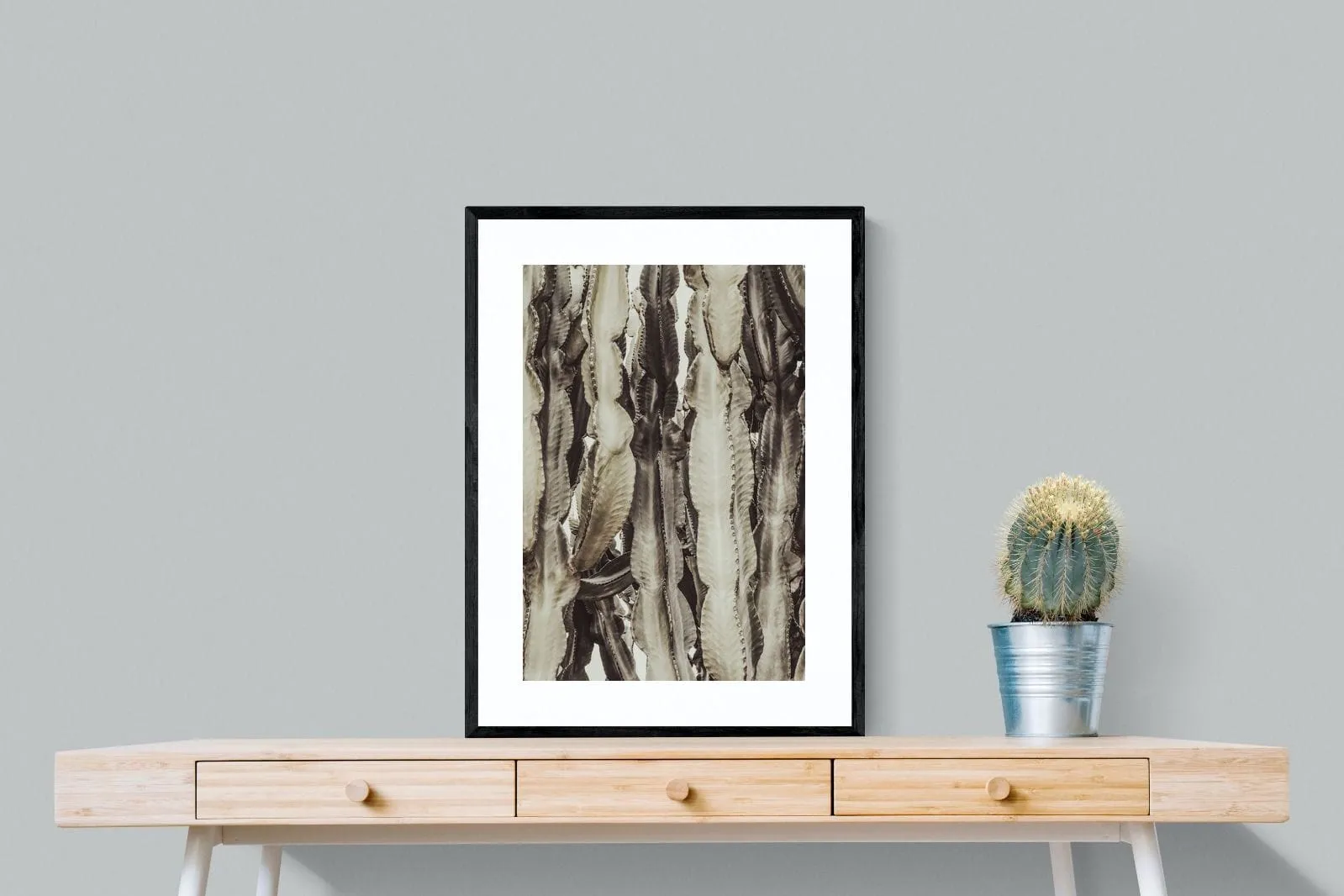 Desert Foliage