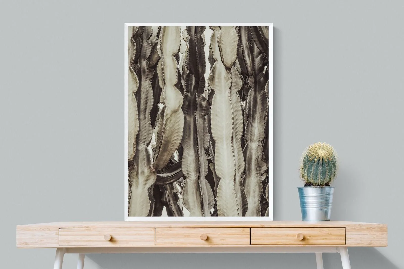 Desert Foliage