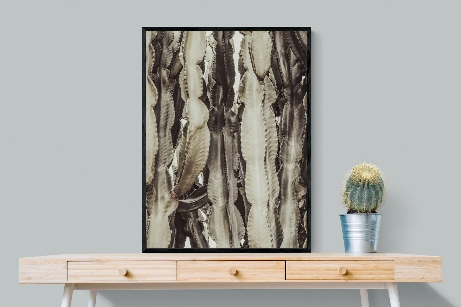 Desert Foliage