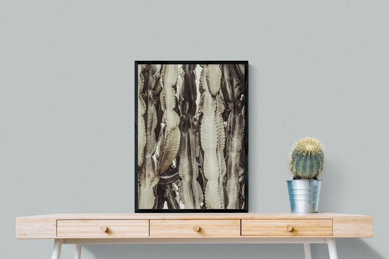 Desert Foliage