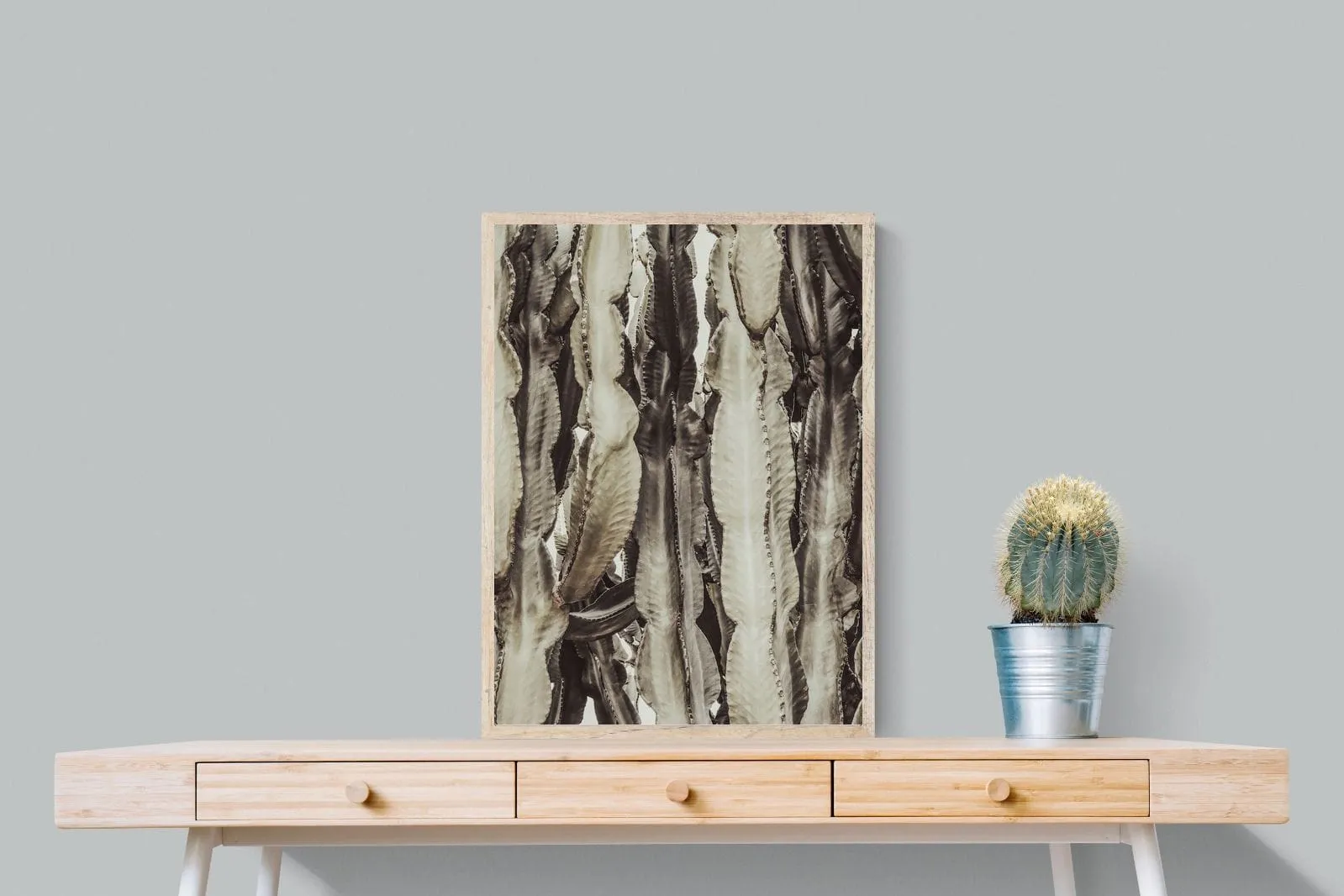 Desert Foliage