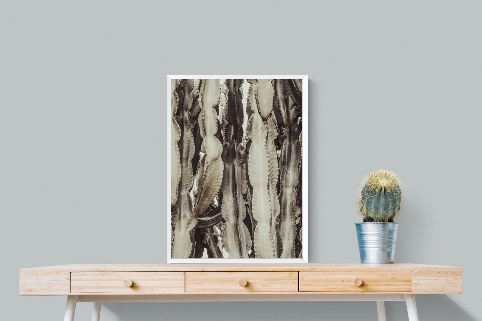 Desert Foliage
