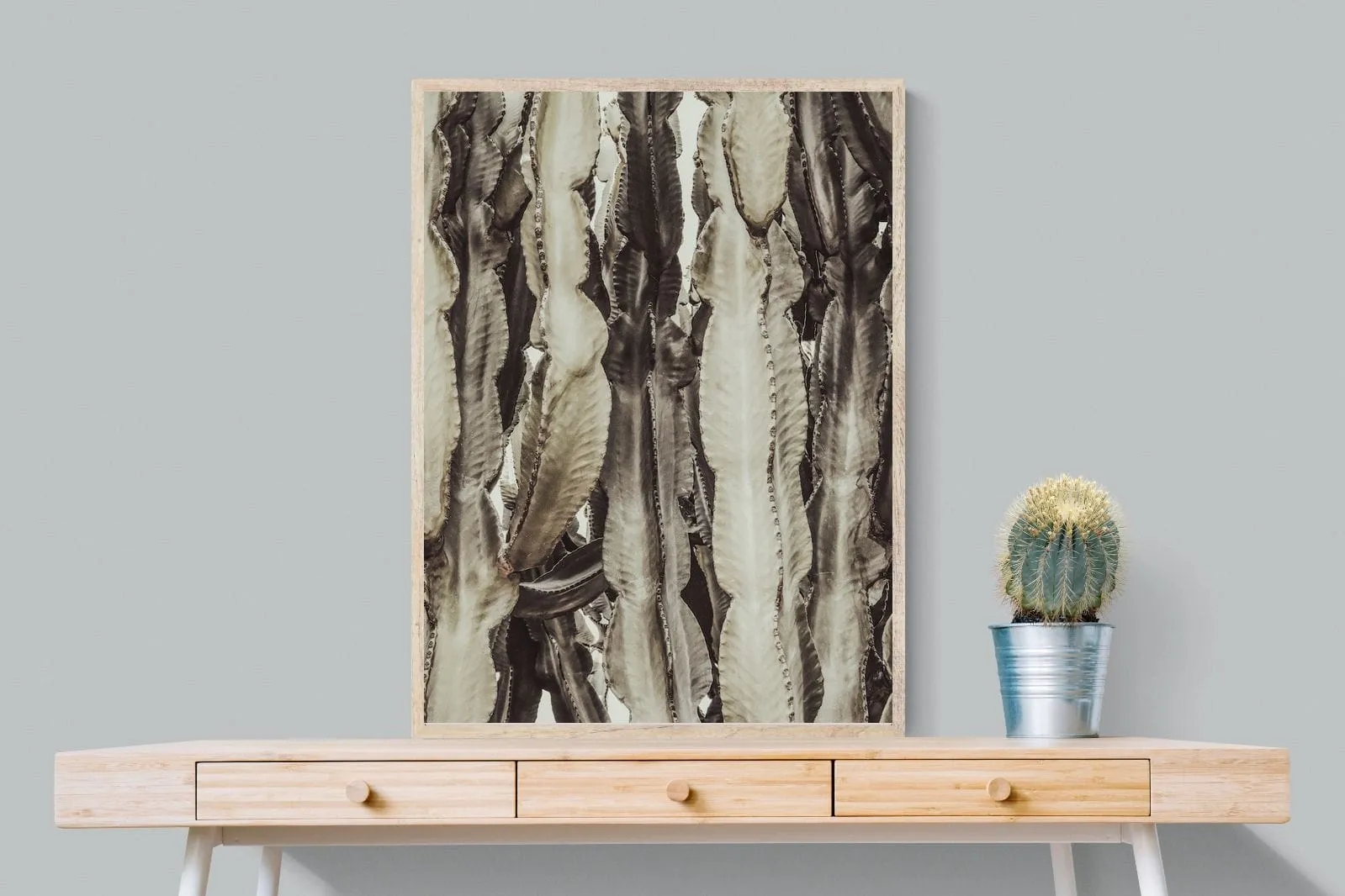 Desert Foliage