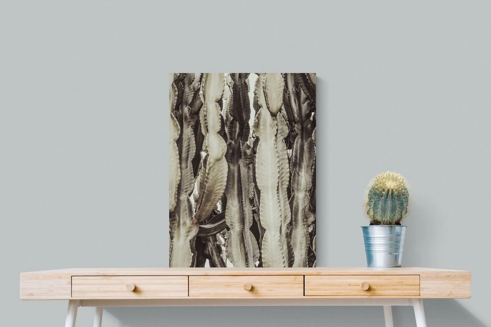 Desert Foliage