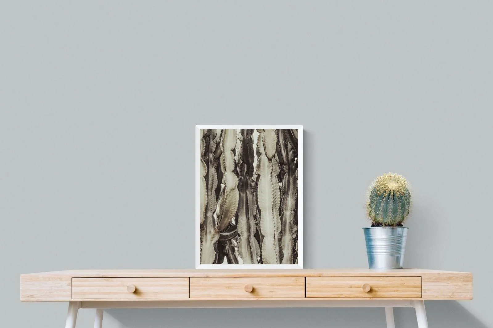 Desert Foliage