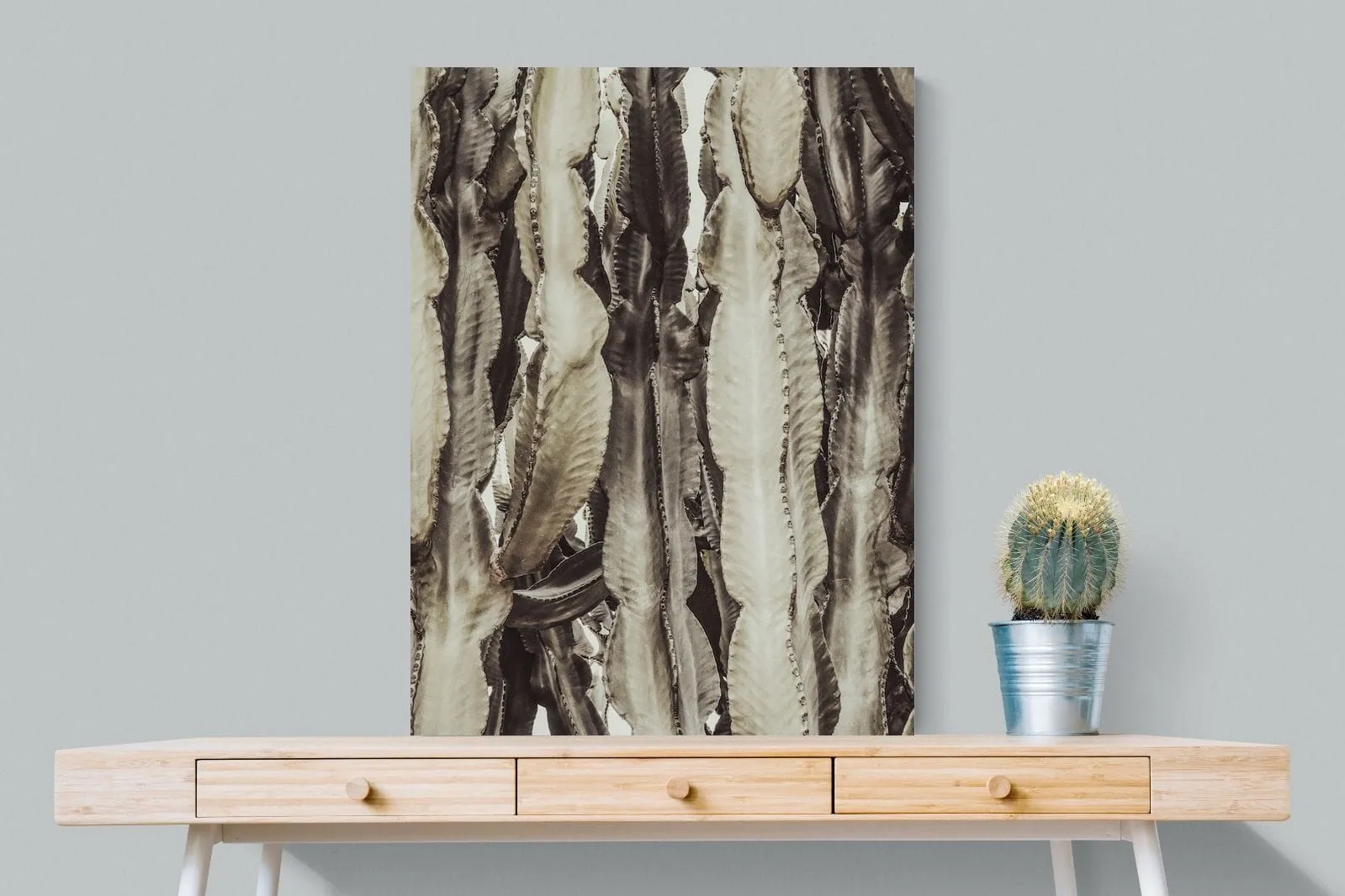Desert Foliage