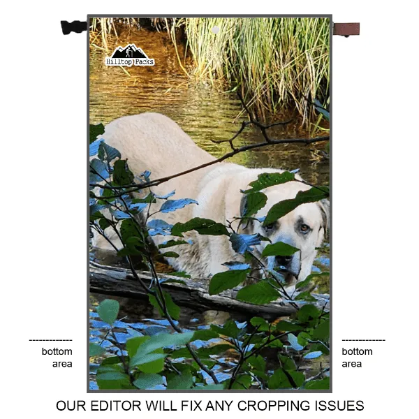 Food Bags w/ Custom Printing (ECOPAK DTRS75) Bear Bag