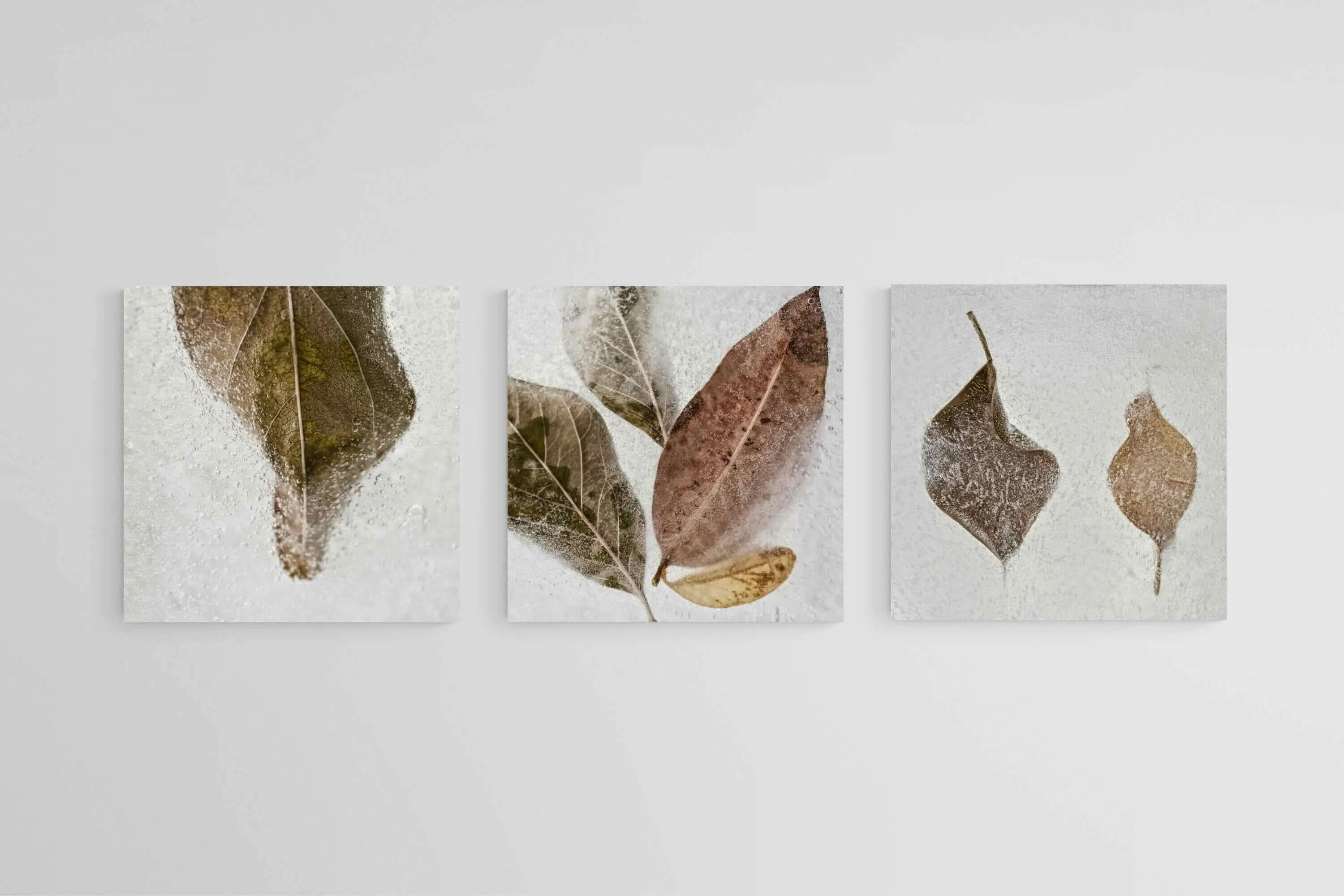 Frozen Leaves Set