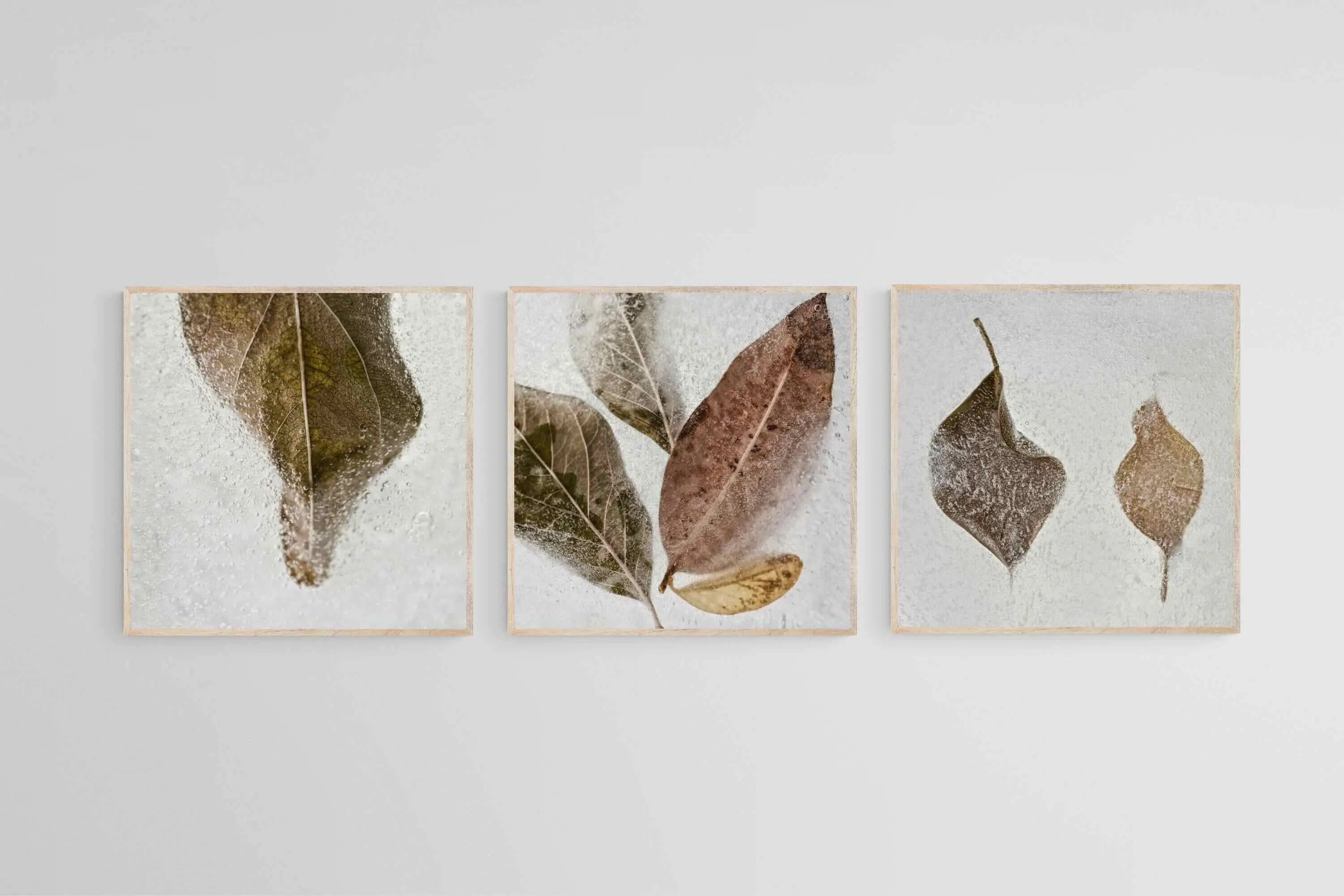 Frozen Leaves Set
