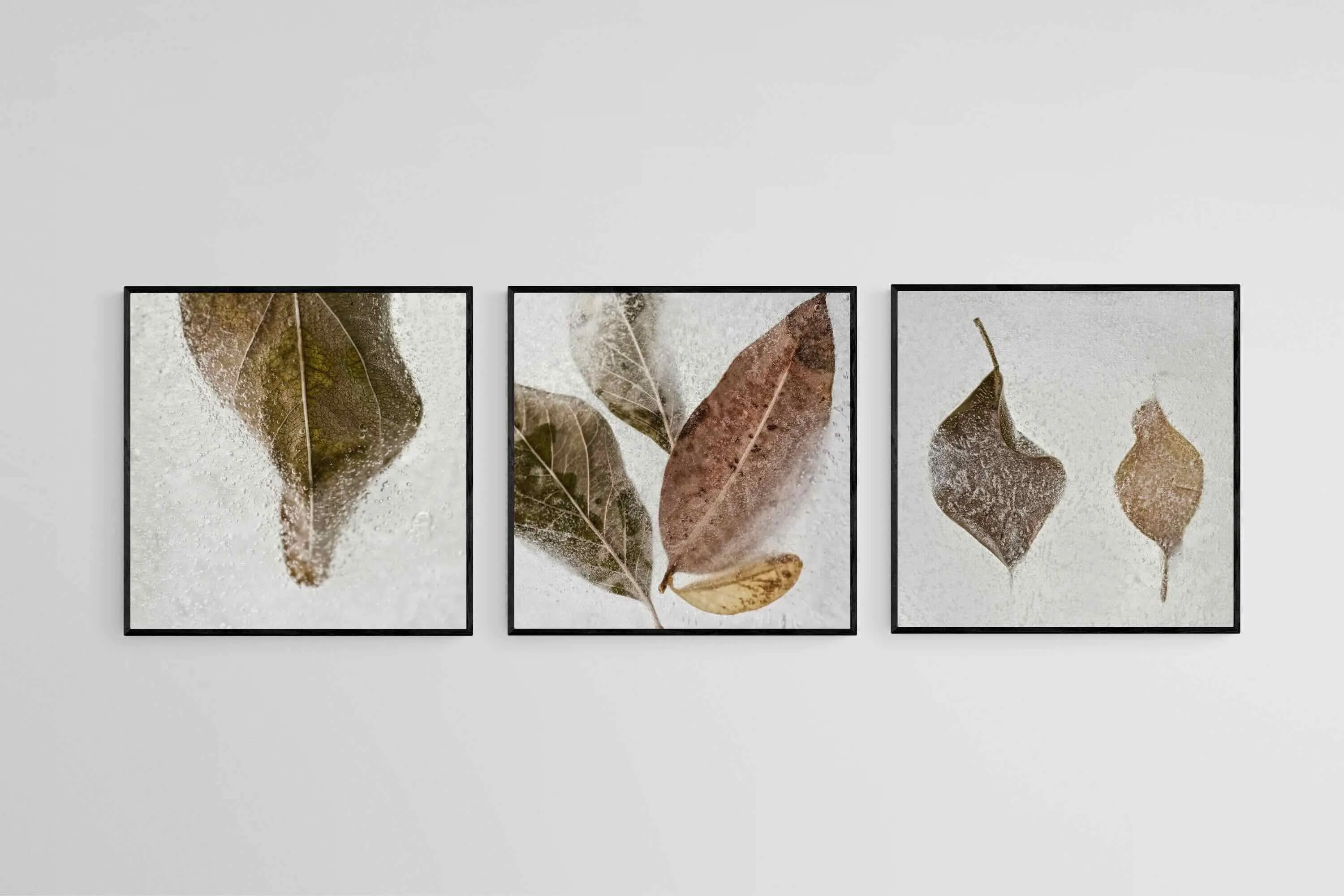 Frozen Leaves Set