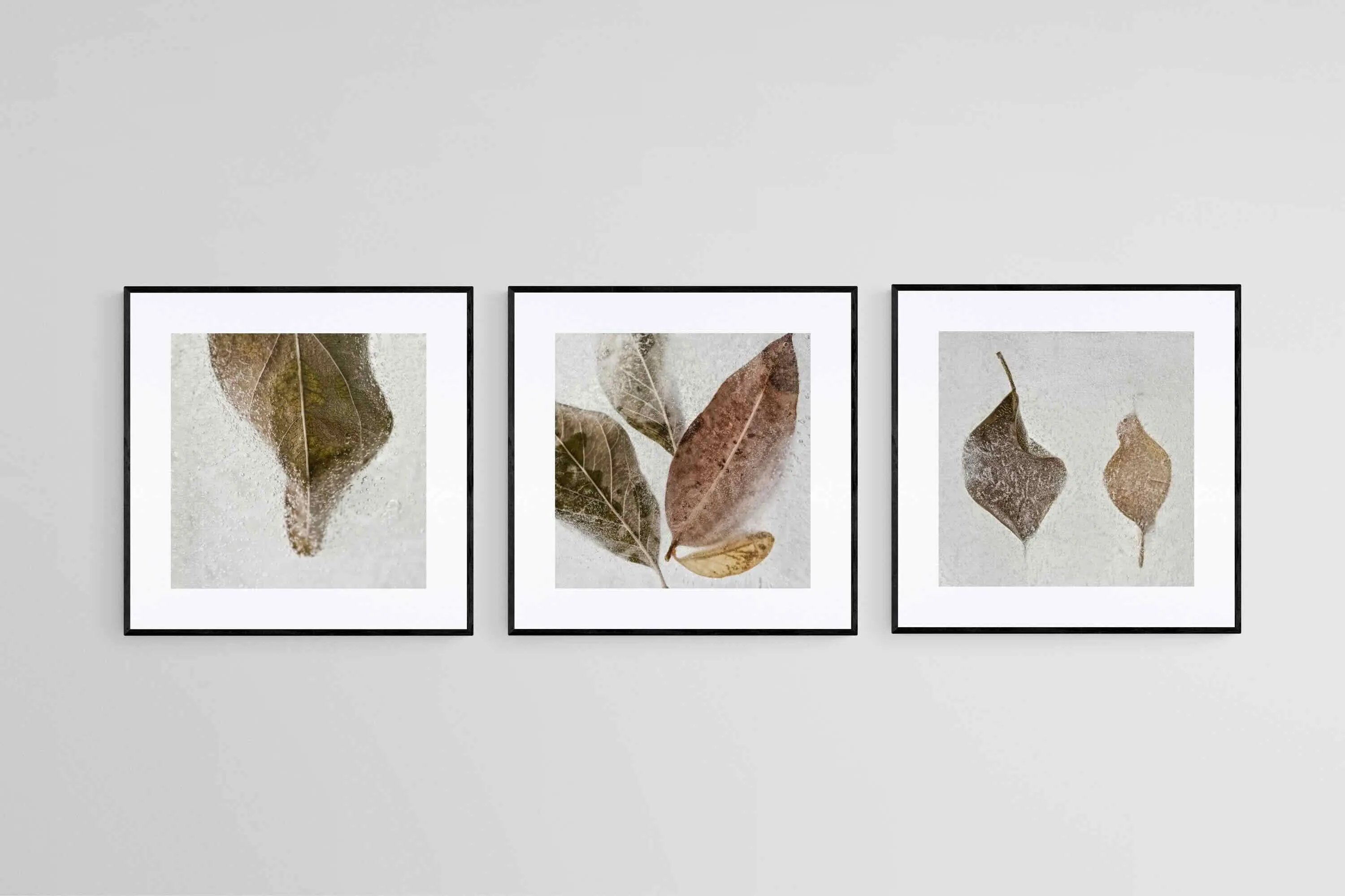 Frozen Leaves Set