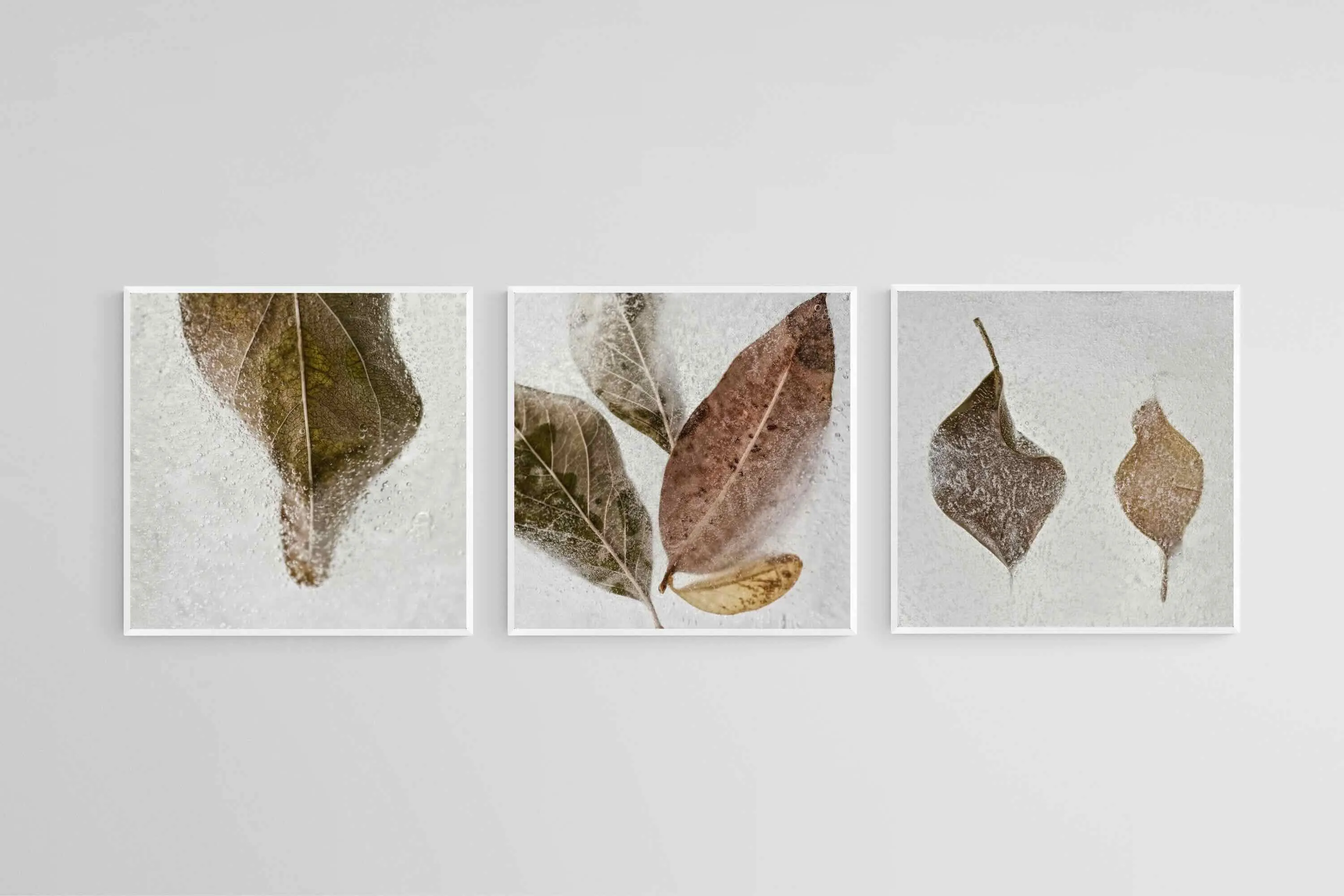 Frozen Leaves Set