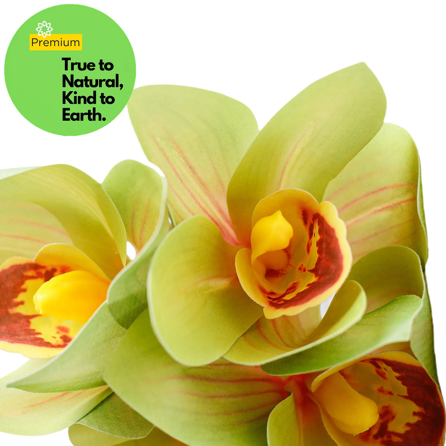 Premium Real Touch Cymbidium Orchids Stem