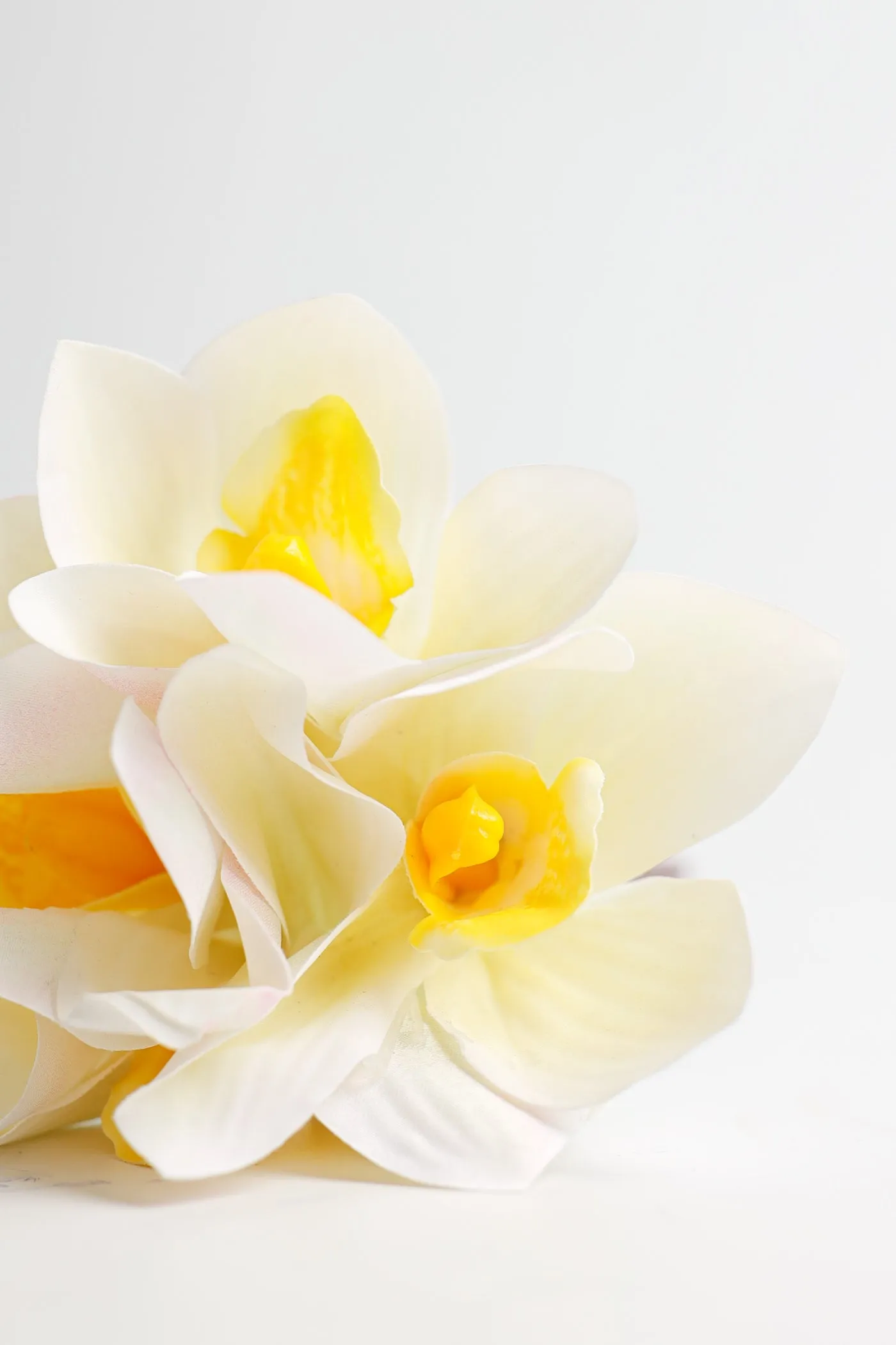 Premium Real Touch Cymbidium Orchids Stem