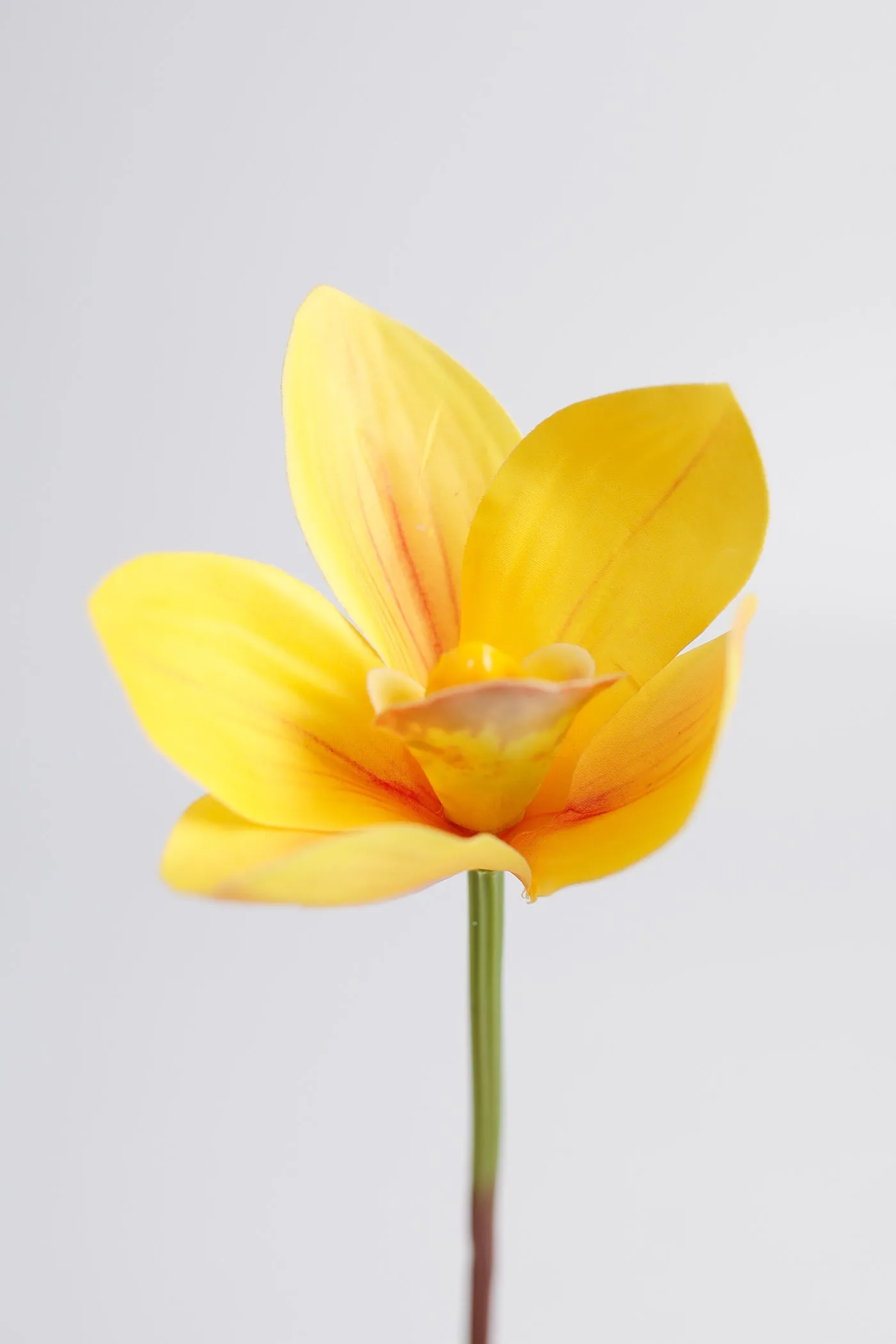 Premium Real Touch Cymbidium Orchids Stem