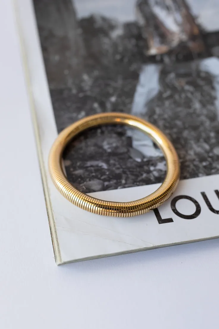 Sleek and Shiny Bracelet