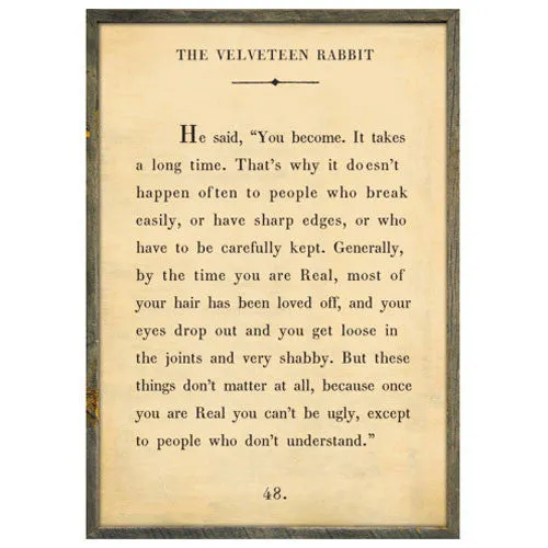 The Velveteen Rabbit Art Print